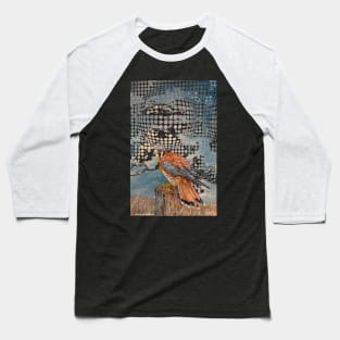 Transparent Time Traveling Hawk Baseball T-Shirt